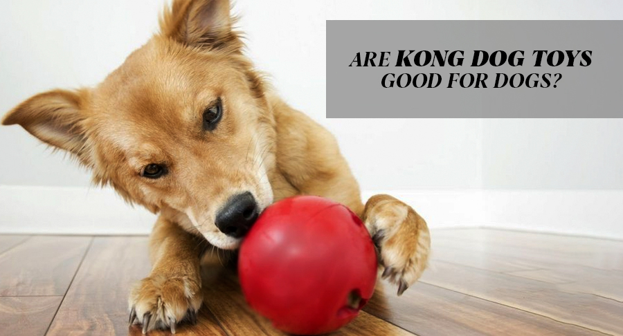Are KONG Dog Toys Good For Dogs?