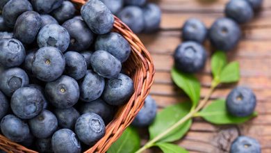 The Benefits of Blackberries For Men’s Health
