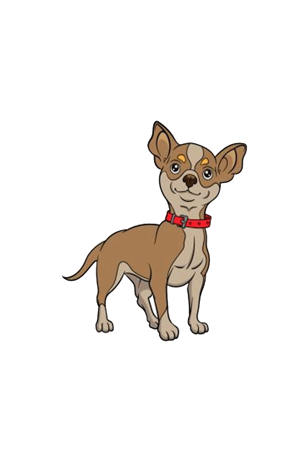 Chihuahua Drawing Step by Step