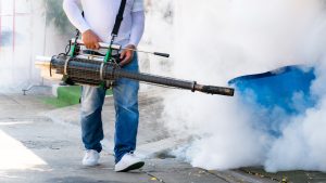 Fumigation Services in Islamabad