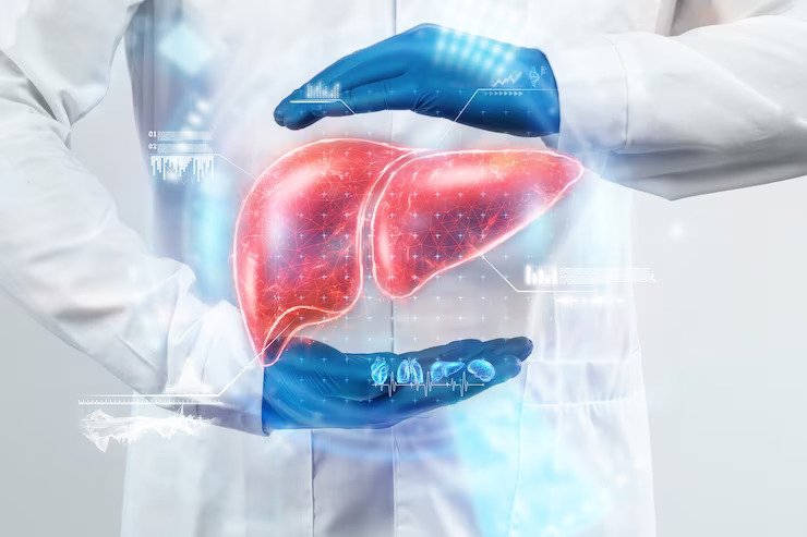 Liver Transplant Surgery: Key Considerations and Preparing for the Procedure