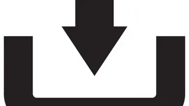 The Power of Downloadable Workshop Repair Manuals