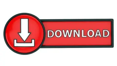 Workshop Repair Manuals Download Your Ultimate