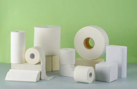 Premium Bamboo Toilet Paper