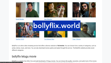 Bollyflix Review - Must-Watch Short Movie That Will Transport You