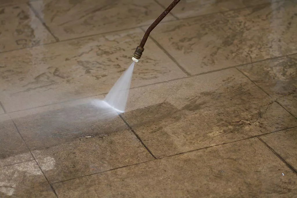 The Science of Clean Professional Carpet Cleaning Solutions