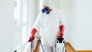 Common Commercial Pest Problems and How to Solve Them