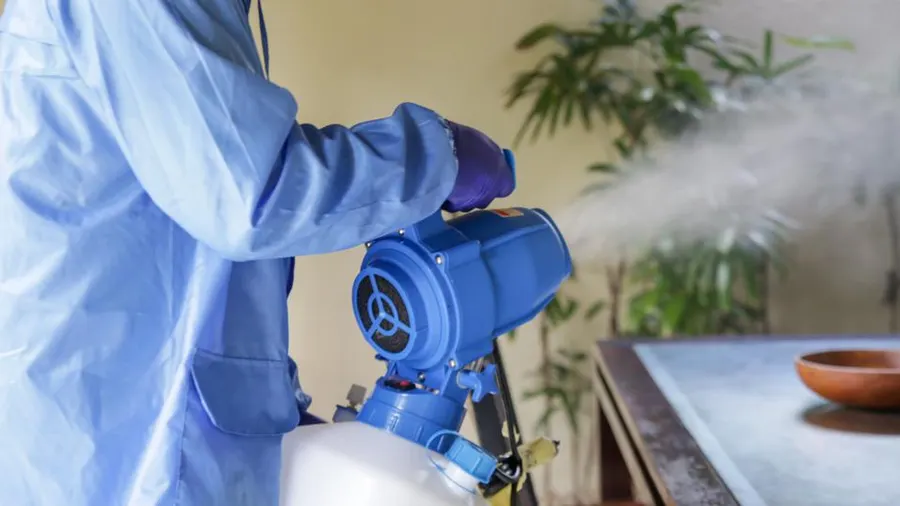 Exploring Fumigation Services in Islamabad | Termite Control Services in Lahore