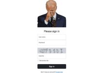 Bidencash