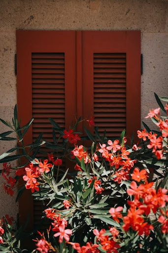 Shutters